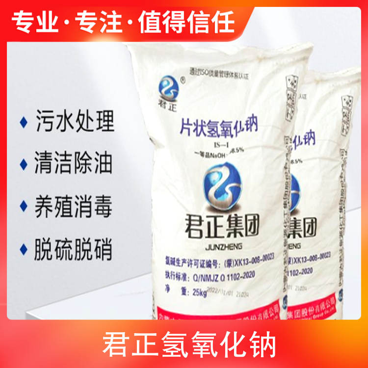 老骚逼逼逼逼网